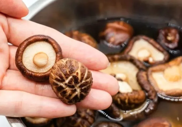 cac-chuyen-gia-nhat-ban-khuyen-dung-nam-de-ngan-ngua-ung-thu-va-giam-cholesterol-3-cach-an-nam-huong-bo-duong-va-hieu-qua-nhat