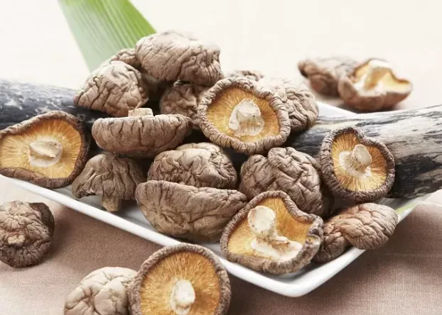 cac-chuyen-gia-nhat-ban-khuyen-dung-nam-de-ngan-ngua-ung-thu-va-giam-cholesterol-3-cach-an-nam-huong-bo-duong-va-hieu-qua-nhat